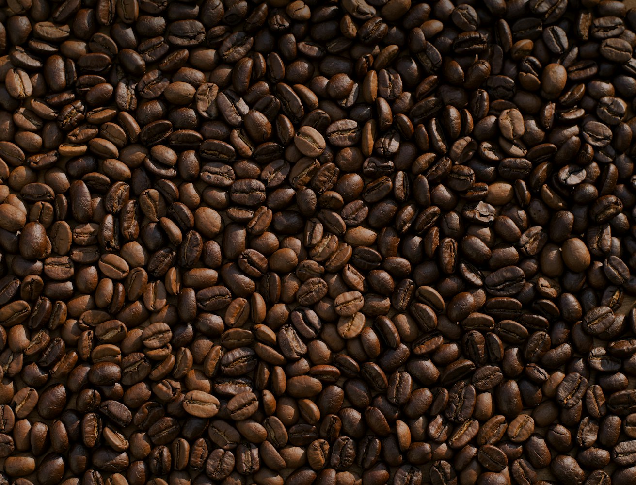 Roasted coffee beans scattered across surface