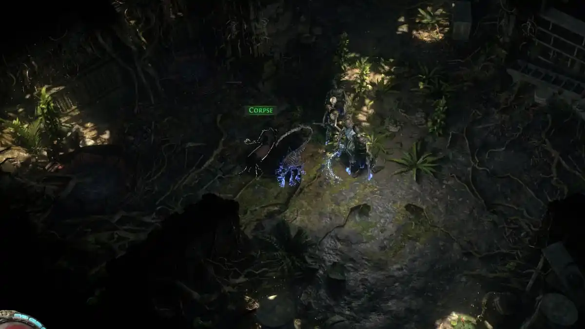 Dark forest corpse in Path of Exile