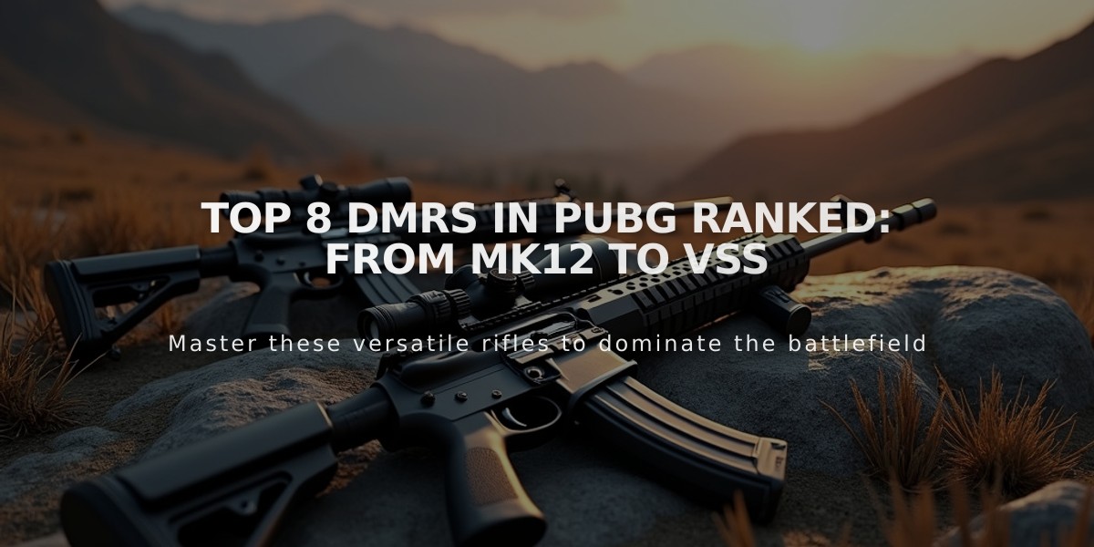 Top 8 DMRs in PUBG Ranked: From Mk12 to VSS