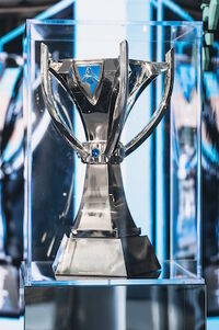 Summoner's Cup trophy in display case