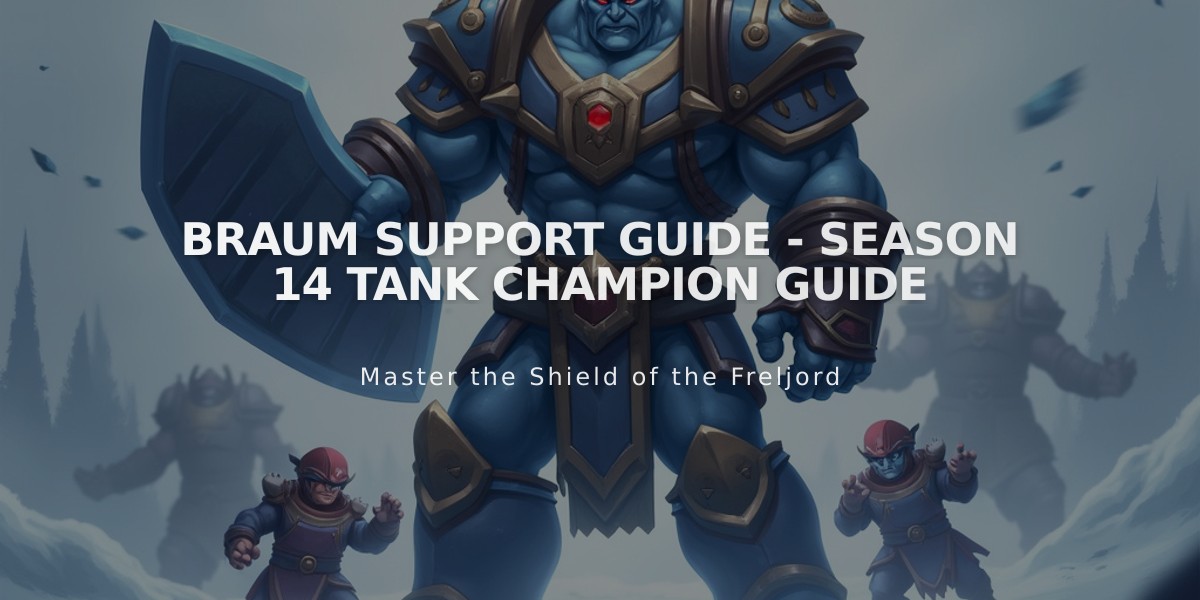 Braum Support Guide - Season 14 Tank Champion Guide